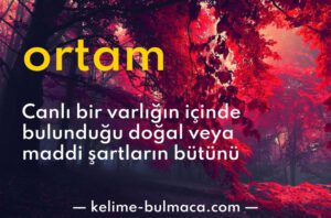 Ortam Nedir